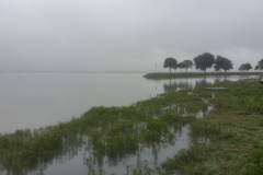 BAIE-DE-SOME-ST-VALERY-SOMME-in-the-RAIN-20160905_152032