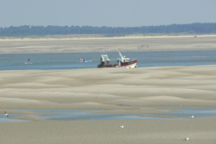 BAIE-DE-SOMME-LE-HOURDEL-P1090185