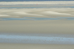 BAIE-DE-SOMME-LE-HOURDEL-P1090201