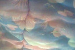 DUVET-DREAMS-DK-0206