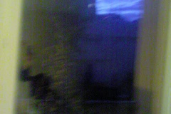 WINDOW-DSC00119