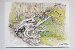 WATERCOLOURS - AQUARELLES