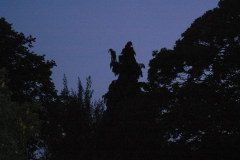 trees3-07-ASHSTEAD-LADY-2-P1010294_LI-Inked
