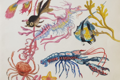 Sea-creatures-reprod-20210506_150446