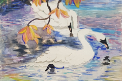 Swans-reprod-20210506_154509