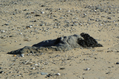08-BELLE-ILE-8-P1130515