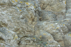 27-BELLE-ILE-26-P1130528