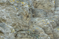 29-BELLE-ILE-28-InkedInkedInked-P1130528_LI