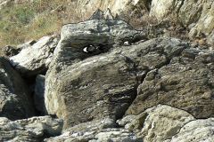 33-BELLE-ILE-33-CANNIBAL-InkedInkedInked-P1130514-Copie_LI