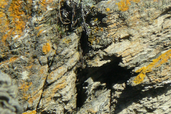 39-BELLE-ILE-39-Inked-P1130500-Copie-2_LI