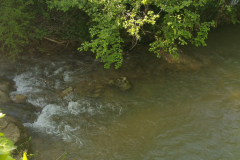 51-PYRENEES-LEIURAC-DARDE-ruisseau-1-20180505_174215-1