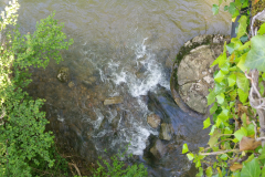52-PYRENEES-LIEURAC-DARDE-ruisseau-2-20180505_174958