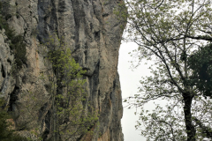 VA02-CA-PYRENEES-ROQUEFIXADE-20180504_105213-2