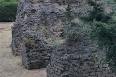 VA83-O3A-FREJUS-RUINES-ROMAINES-20170805_203927