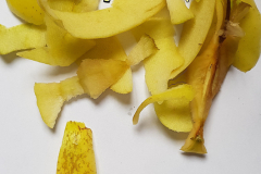 VE-02-APPLE-PEEL-20210517_140414_LI-InkedInked