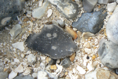 VE-18-FLINT-P1090243