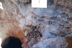 FoW-07-7-LA-MER-MORTE-2-SALT-CRYSTALS-Inked-20210522_224835_LI