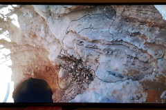 FoW-08-8-LA-MER-MORTE-2-SALT-CRYSTALS-Inked-1-20210522_224903-rogne_LI