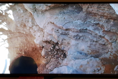 FoW-09-9-LA-MER-MORTE-2-SALT-CRYSTALS-Inked-3-20210522_224903-rogne_LI